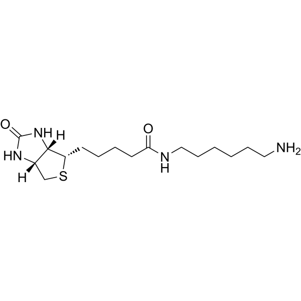 N-Biotinyl-1,6-hexanediaMine 65953-56-2